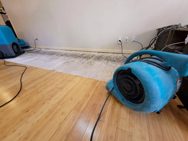 Professional Water Damage Repair technician working in Madison, NH